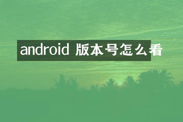 android 版本号怎么看