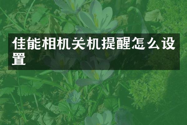佳能相机关机提醒怎么设置