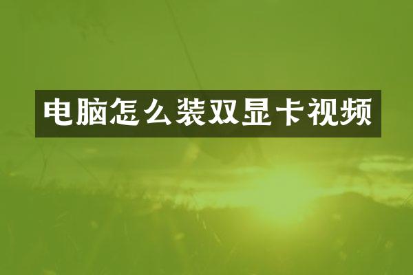 电脑怎么装双显卡视频