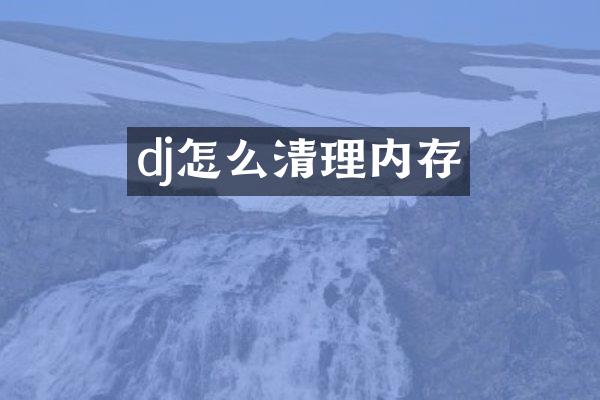 dj怎么清理内存