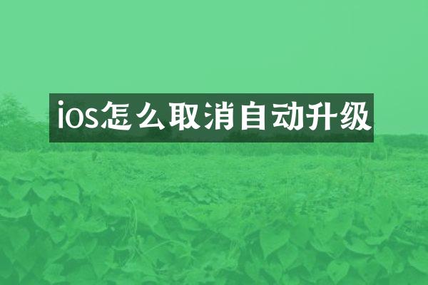 ios怎么取消自动升级