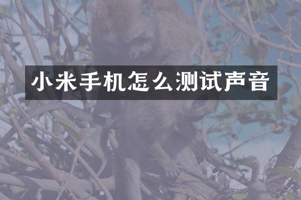 小米手机怎么测试声音