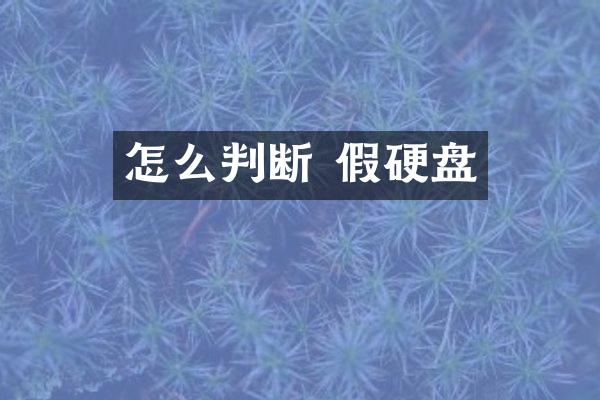 怎么判断 假硬盘