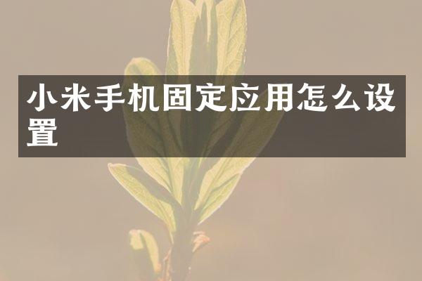 小米手机固定应用怎么设置