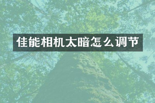 佳能相机太暗怎么调节