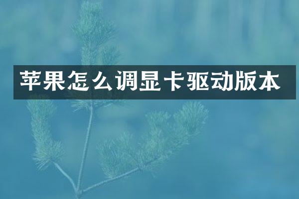苹果怎么调显卡驱动版本