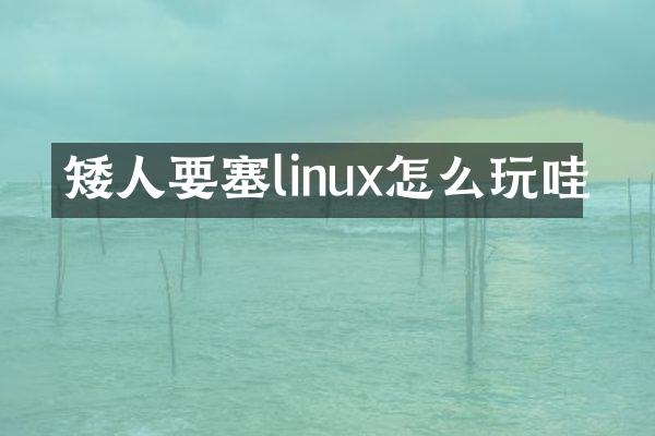 矮人要塞linux怎么玩哇
