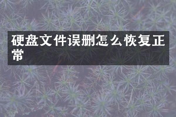 硬盘文件误删怎么恢复正常