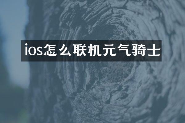 ios怎么联机元气骑士