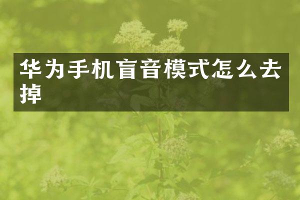 华为手机盲音模式怎么去掉