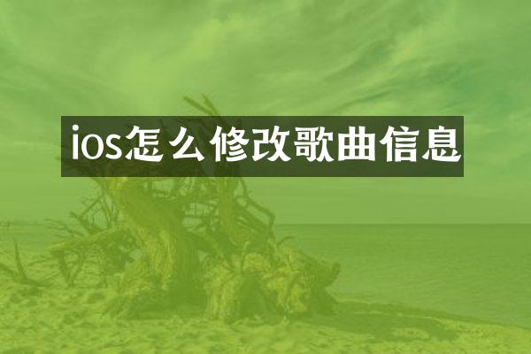 ios怎么修改歌曲信息