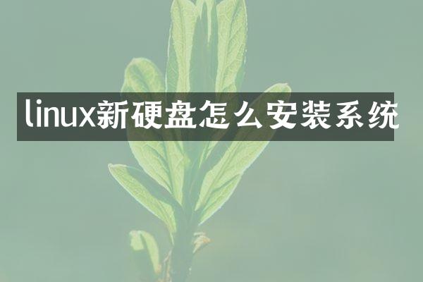linux新硬盘怎么安装系统