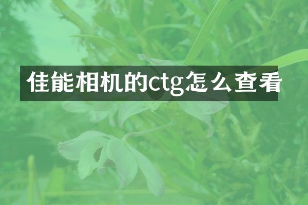 佳能相机的ctg怎么查看