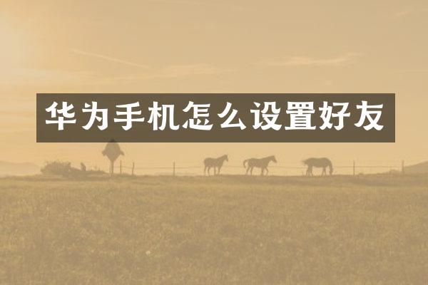 华为手机怎么设置好友