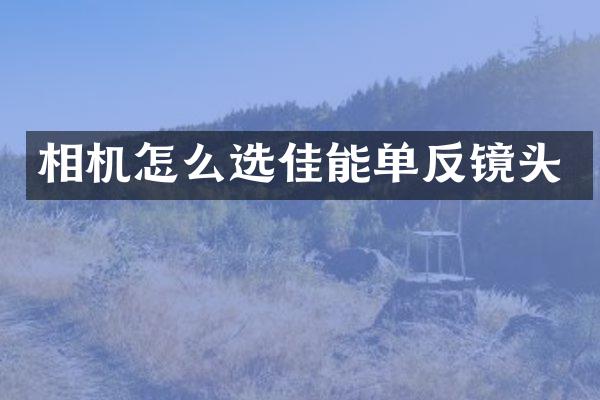 相机怎么选佳能单反镜头