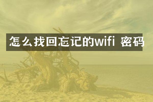 怎么找回忘记的wifi 密码