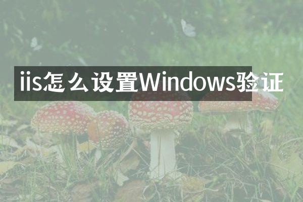 iis怎么设置Windows验证