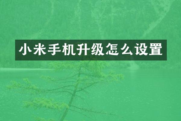 小米手机升级怎么设置
