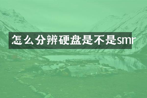 怎么分辨硬盘是不是smr