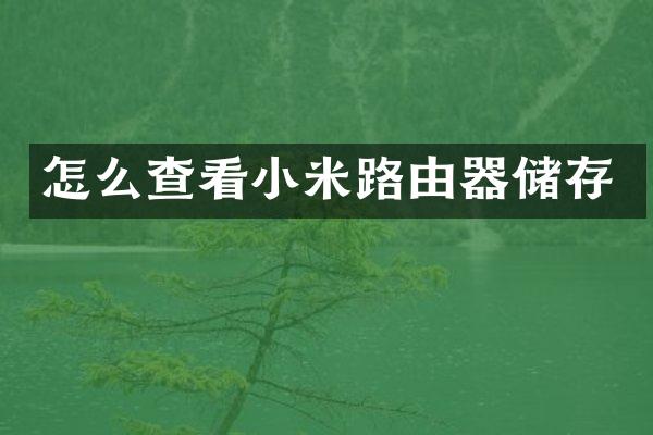 怎么查看小米路由器储存