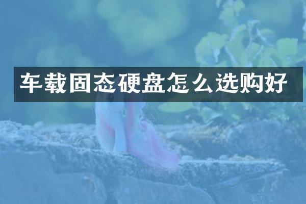 车载固态硬盘怎么选购好
