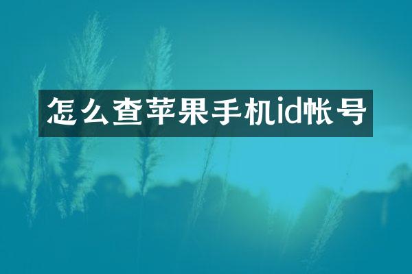怎么查苹果手机id帐号
