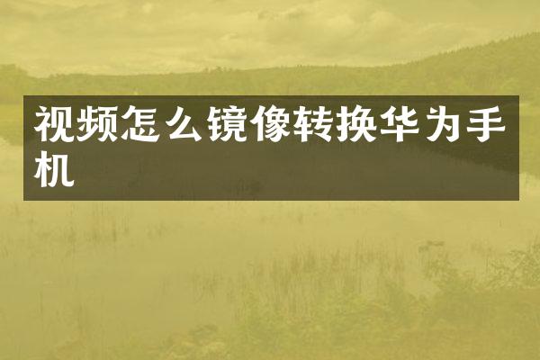 视频怎么镜像转换华为手机
