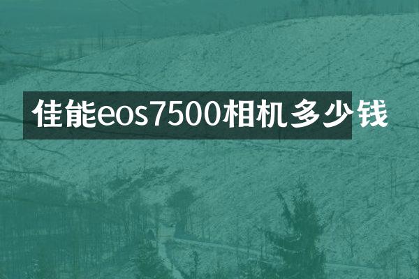 佳能eos7500相机多少钱