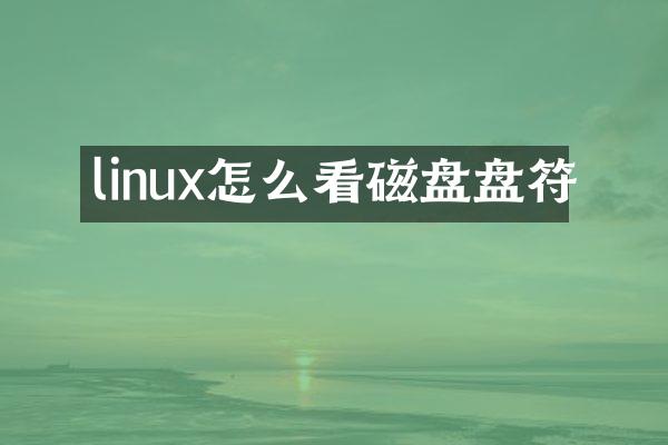 linux怎么看磁盘盘符