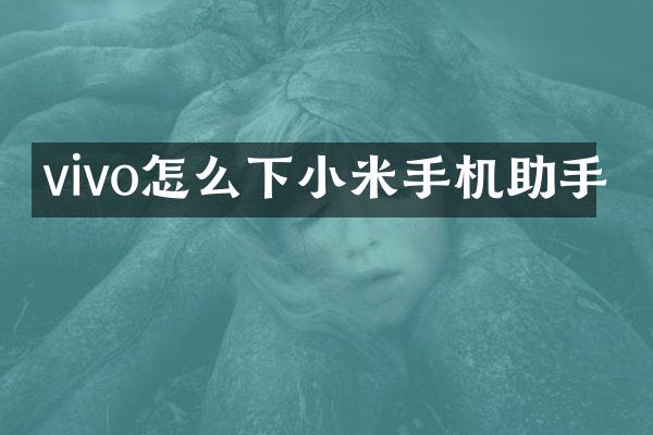 vivo怎么下小米手机助手