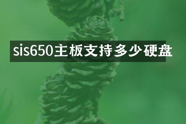 sis650主板支持多少硬盘
