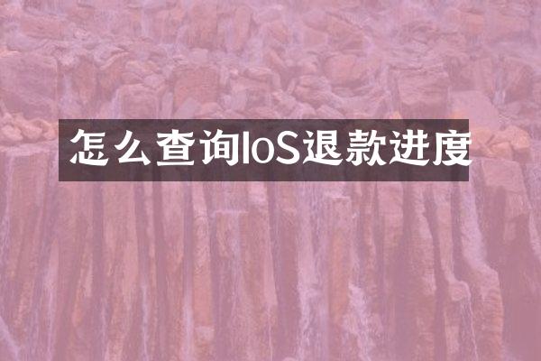 怎么查询IoS退款进度