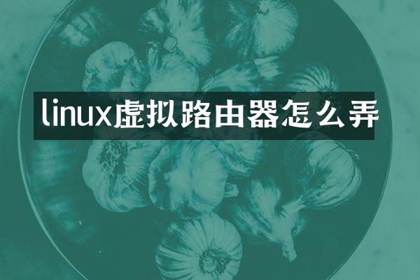 linux虚拟路由器怎么弄
