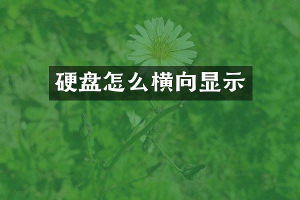 硬盘怎么横向显示