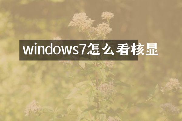 windows7怎么看核显