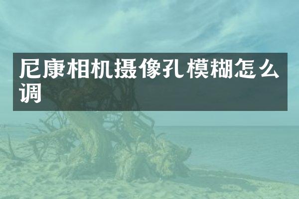 尼康相机摄像孔模糊怎么调