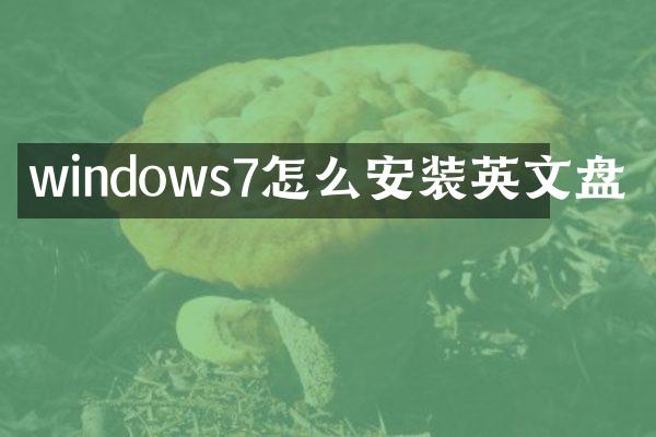 windows7怎么安装英文盘
