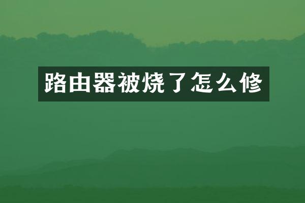 路由器被烧了怎么修