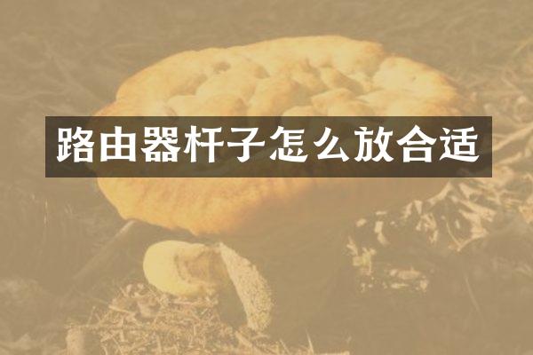 路由器杆子怎么放合适