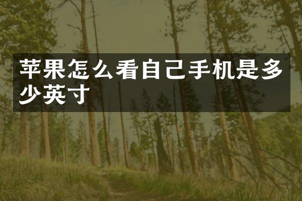 苹果怎么看自己手机是多少英寸