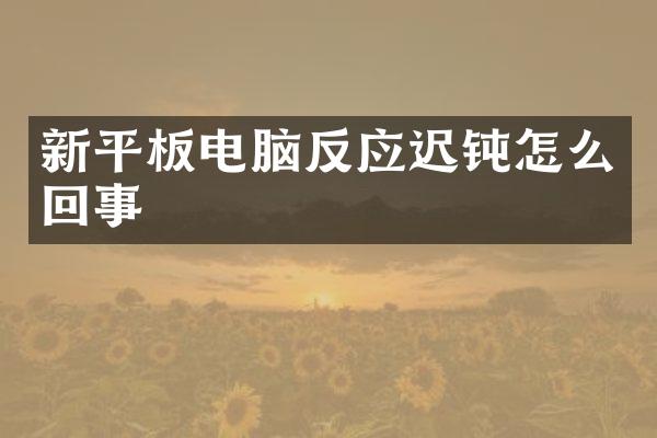 新平板电脑反应迟钝怎么回事