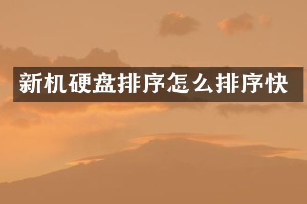 新机硬盘排序怎么排序快