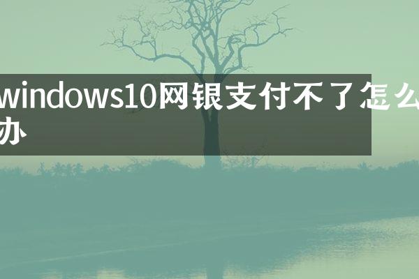 windows10网银支付不了怎么办