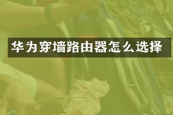 华为穿墙路由器怎么选择