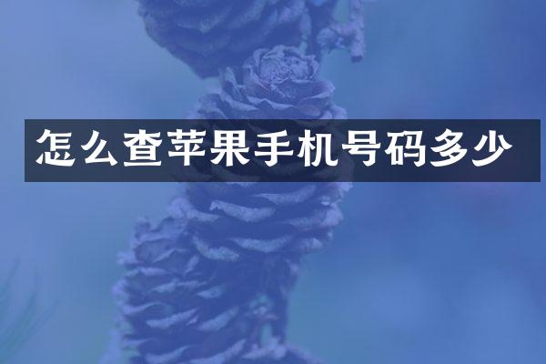 怎么查苹果手机号码多少