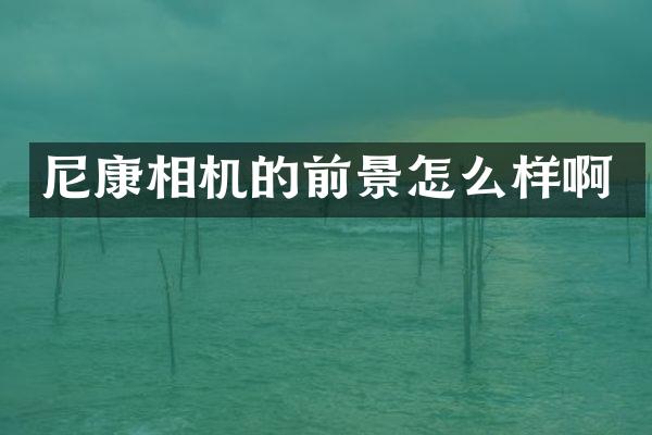 尼康相机的前景怎么样啊