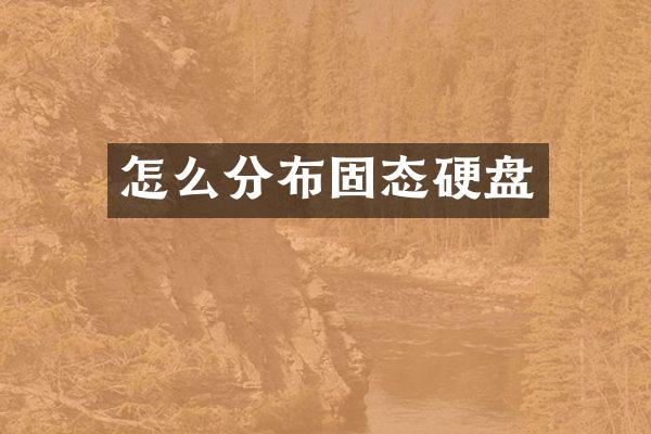 怎么分布固态硬盘