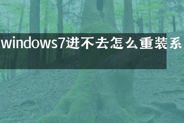 windows7进不去怎么重装系统