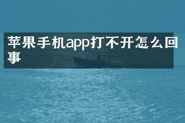苹果手机app打不开怎么回事