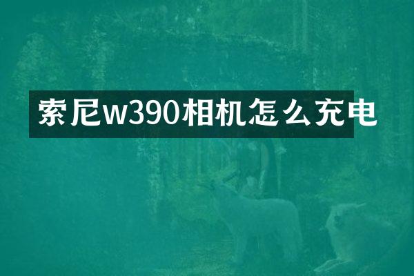 w390相机怎么充电